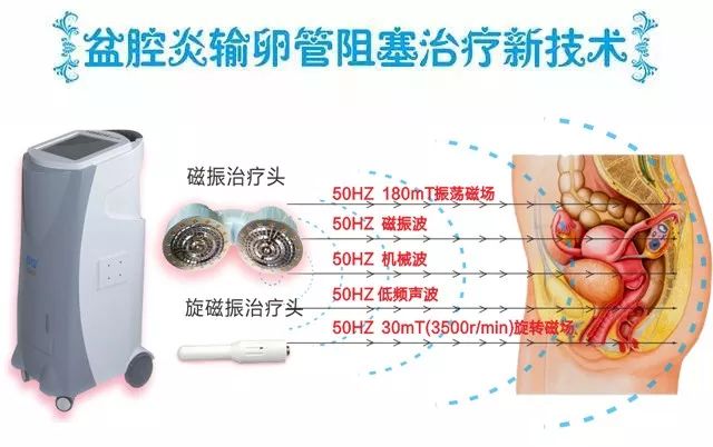 1571991782431876.jpg 11.jpg